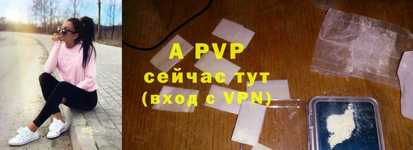 СК Белокуриха
