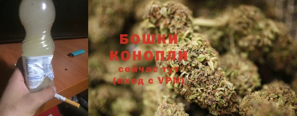СК Белокуриха
